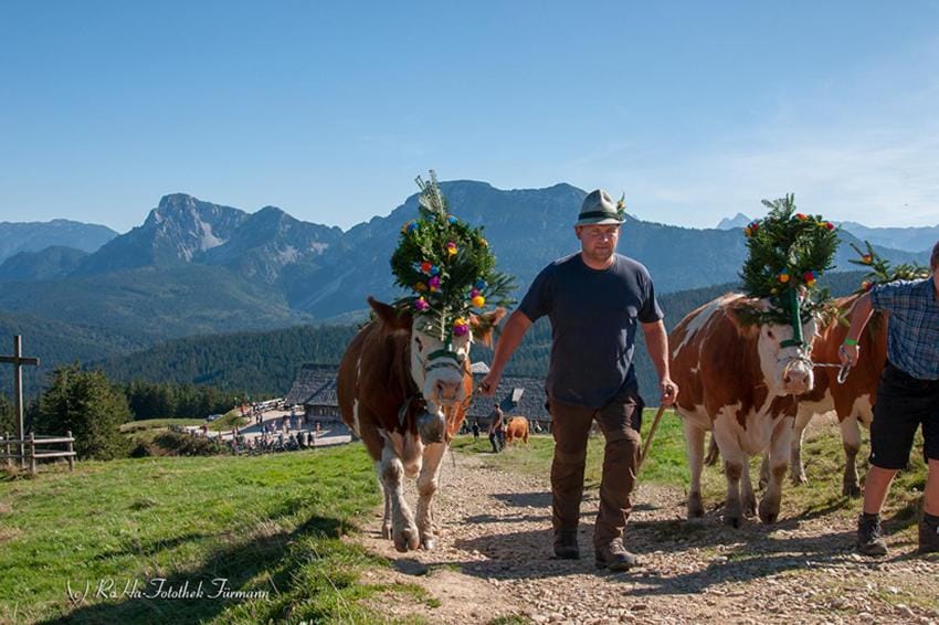 Haus Christ Apartment in Berchtesgadener Land