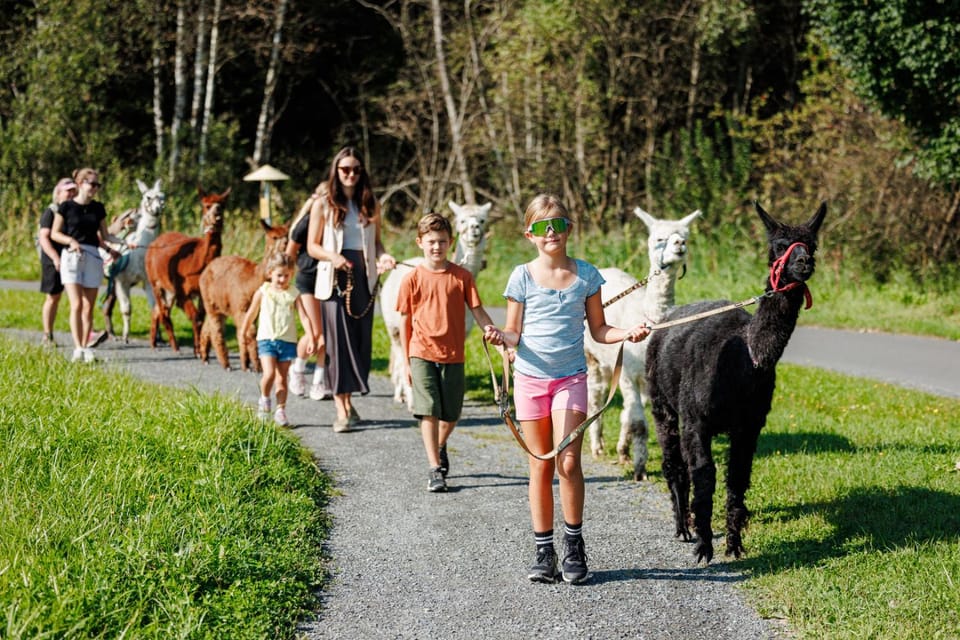 Spa Apartments - next to AreitXpress Liftstation Apartment in Zell am See