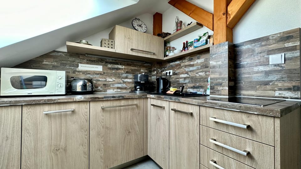 Kitchen or kitchenette, dishwasher, minibar, stove