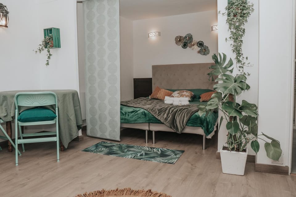 Grand studio, vue mer centre ville carte parking Apartment in Sanary-sur-Mer