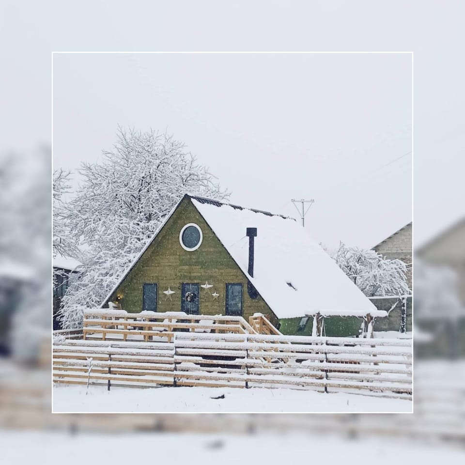 Wooden cottage "green house" in Bakuriani Villa in Georgia