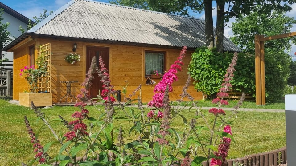 Property building, Day, Garden