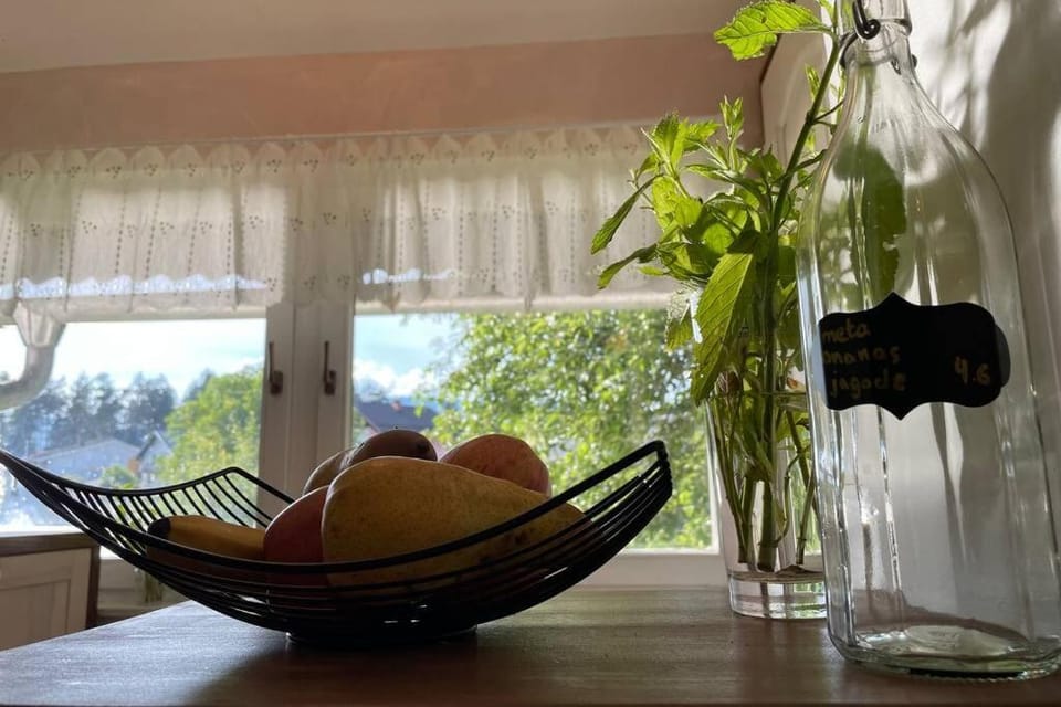 Grandma's House House in Slovenia