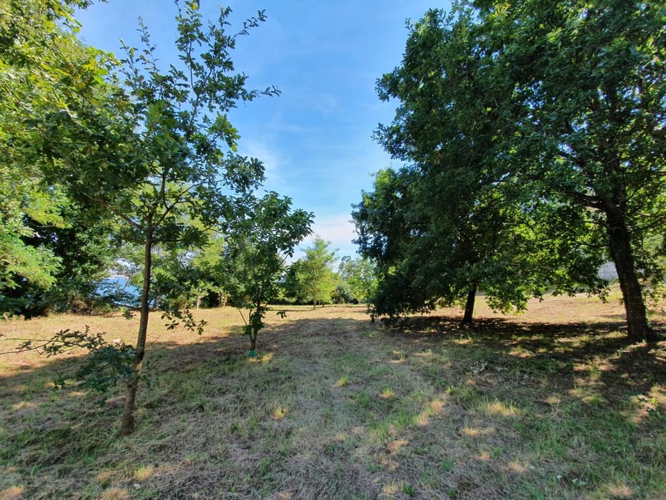 Natural landscape, Garden, Hiking