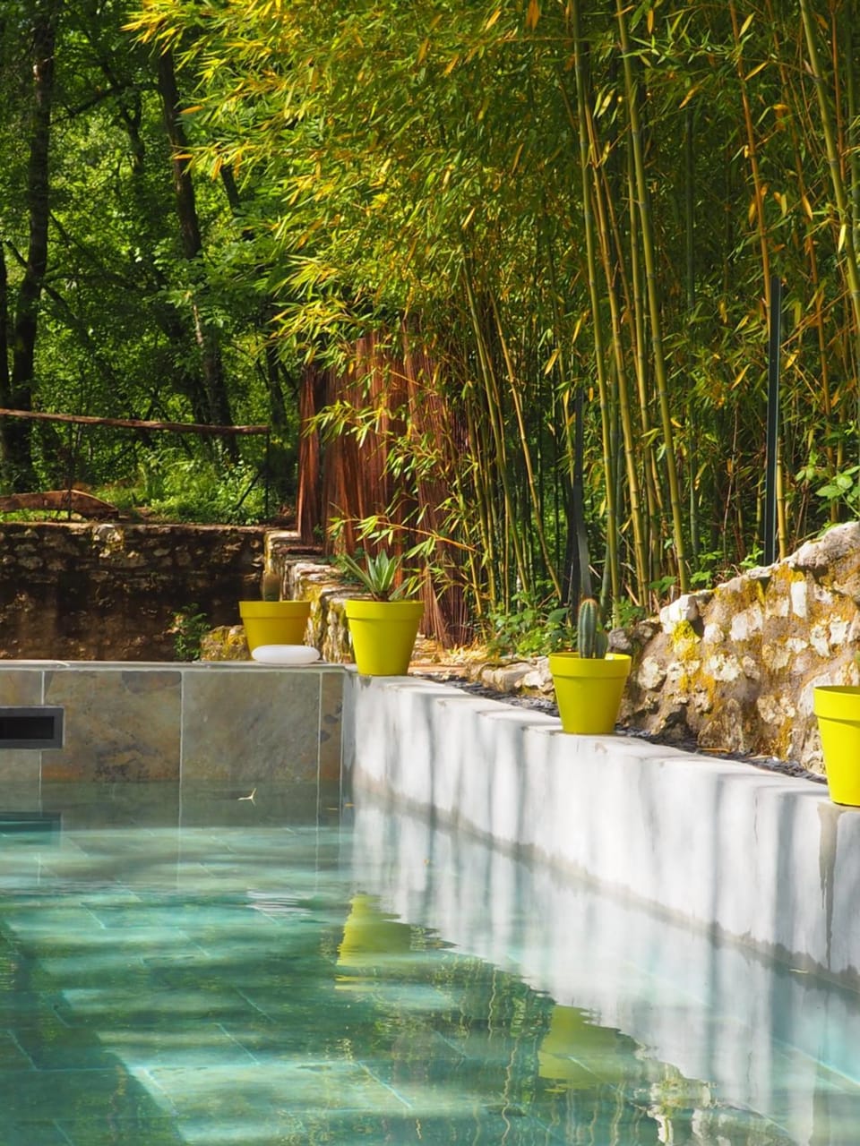 Spring, Day, Natural landscape, Garden, Garden view, Pool view, Swimming pool