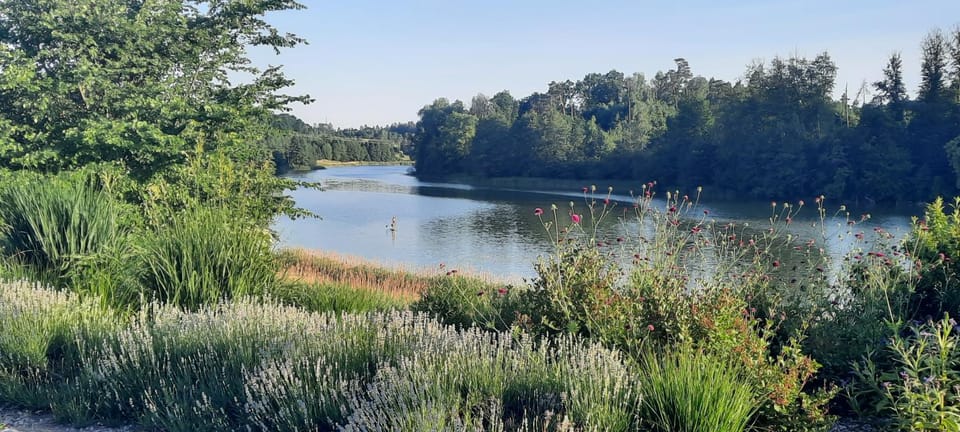 Natural landscape, View (from property/room), Lake view