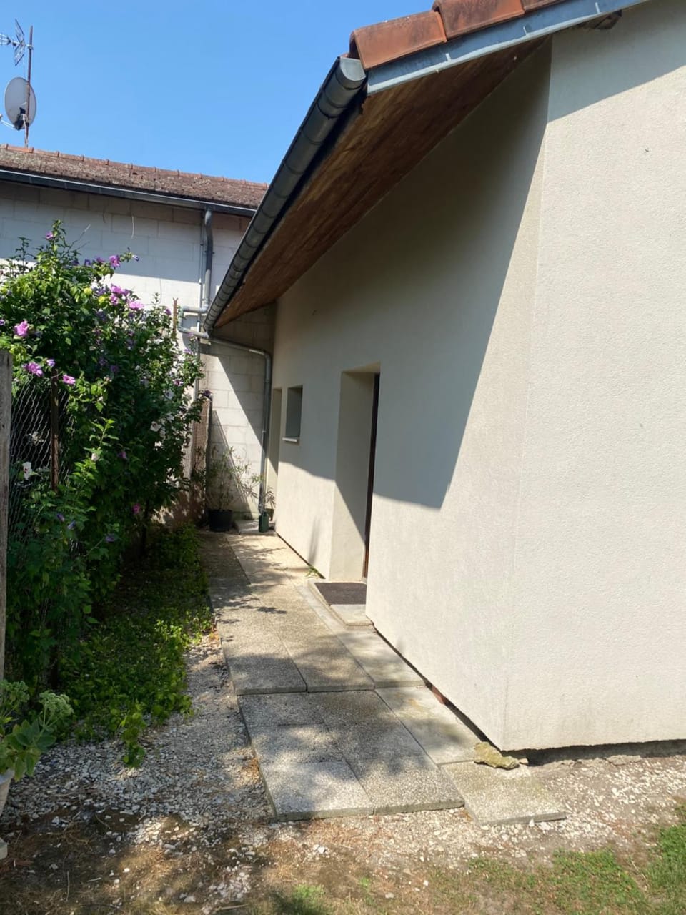 Au soleil du Der House in Grand Est