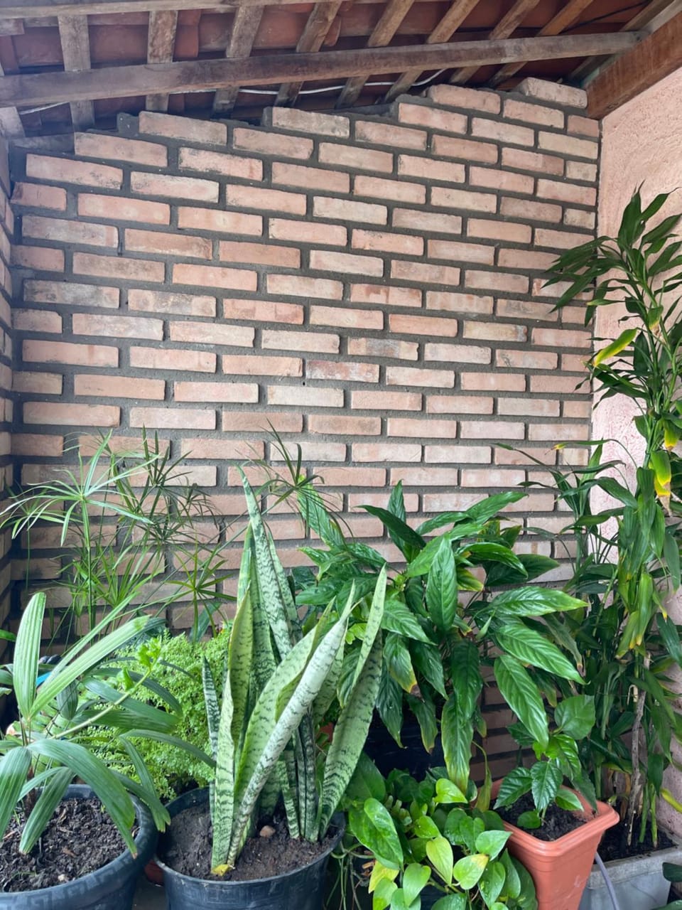 Casa Maragogi House in State of Alagoas, Brazil