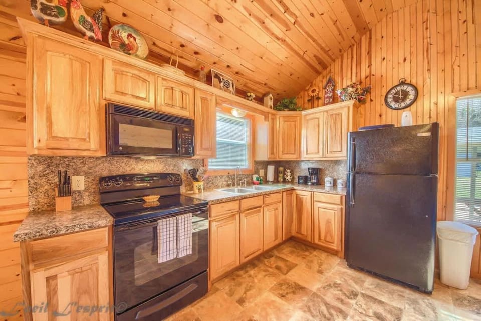 RR 9122SF Sunflower Cabin Cabin in Canyon Lake