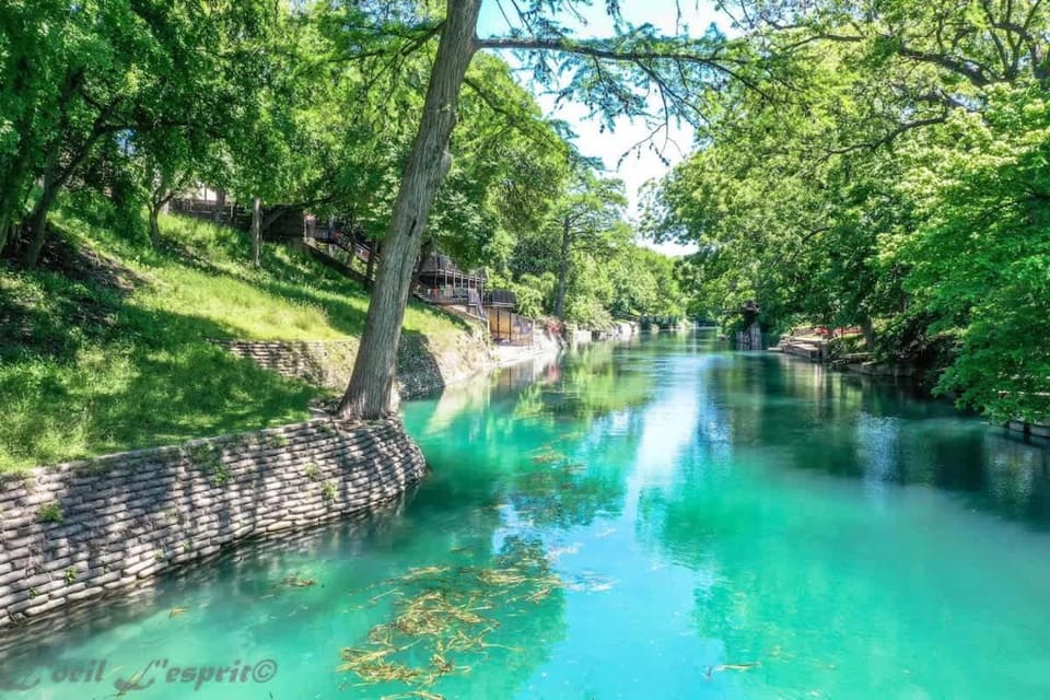 CW C102 The Iron Cactus Condo on the Comal House in New Braunfels