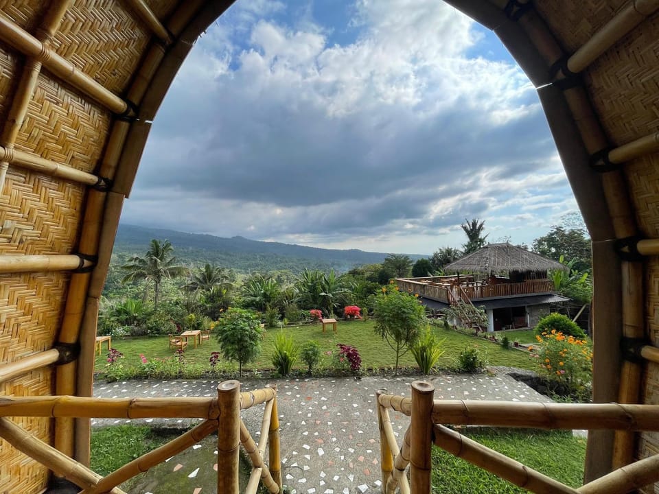 Day, Natural landscape, Garden