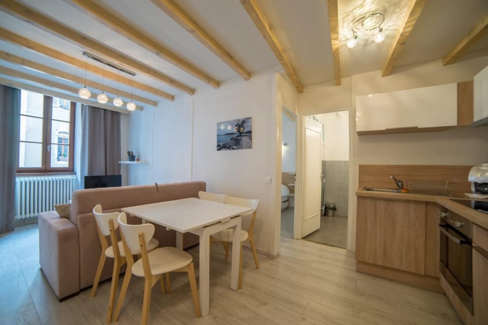 Le Parmelan - apartment for 2 people in the heart of the old town Apartment in Annecy