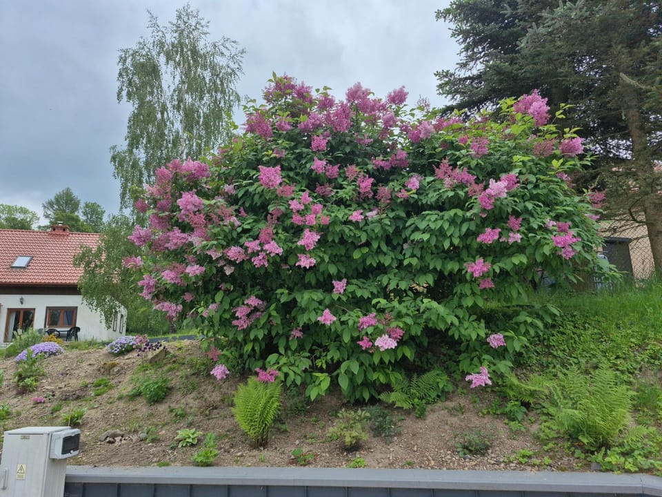 Willa Na Pstrążnicy Bed and Breakfast in Lower Silesian Voivodeship