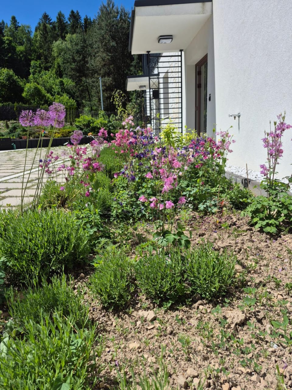 Willa Na Pstrążnicy Bed and Breakfast in Lower Silesian Voivodeship