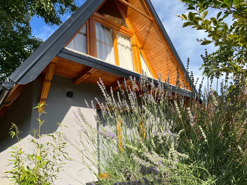 Petrovaradin Chalet House in Novi Sad