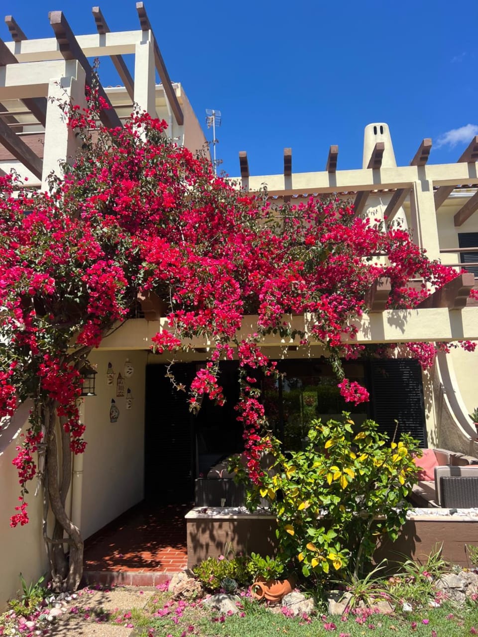 Falesia Beach Town house 2 bedroom House in Olhos de Água