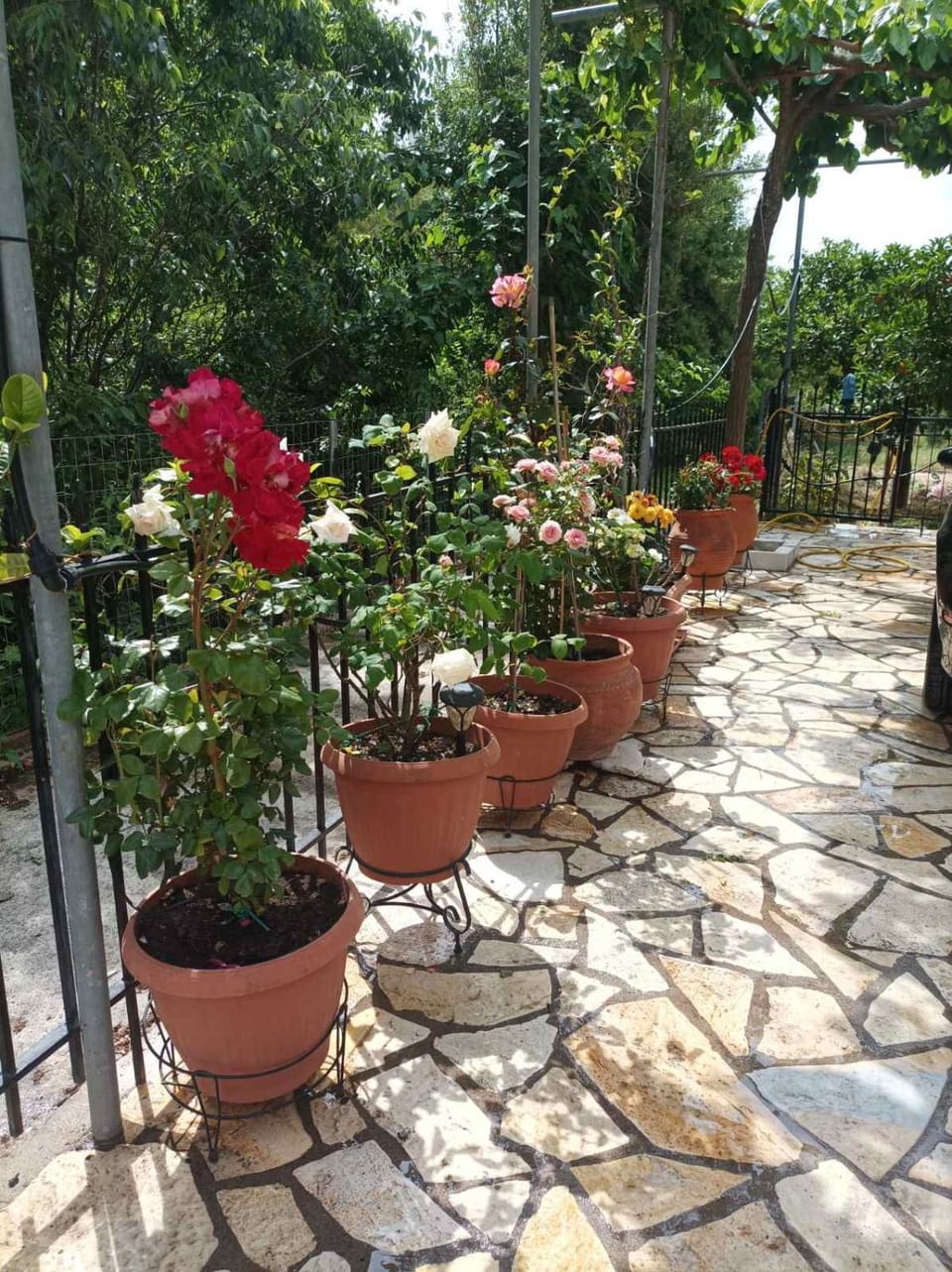 Calm house in Sivros village, Lefkada House in Lefkada, Lefkada Municipality, Greece