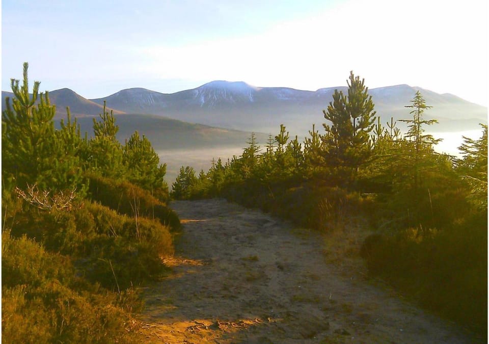 Corderry Farmhouse, idyllic cottage amid 250 acres House in County Limerick