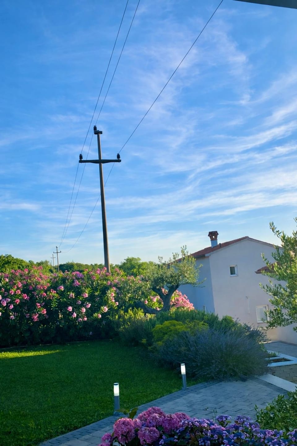 Natural landscape, Garden