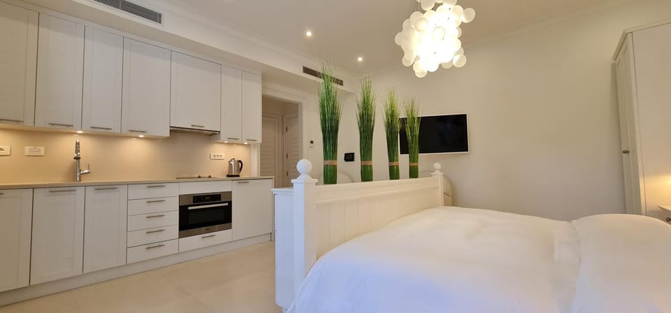 Bed, TV and multimedia, Kitchen or kitchenette, Photo of the whole room, Bedroom, oven, pet friendly, stove, wardrobe