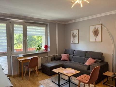 RiverView Apartment in Poland