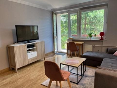 RiverView Apartment in Poland