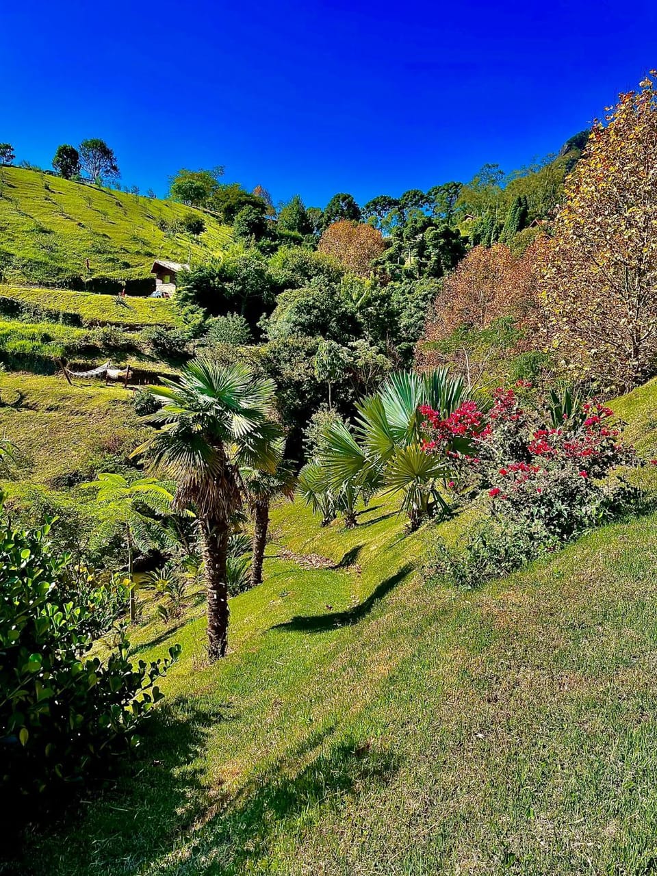 Natural landscape, Garden, Hiking, Garden view, Mountain view