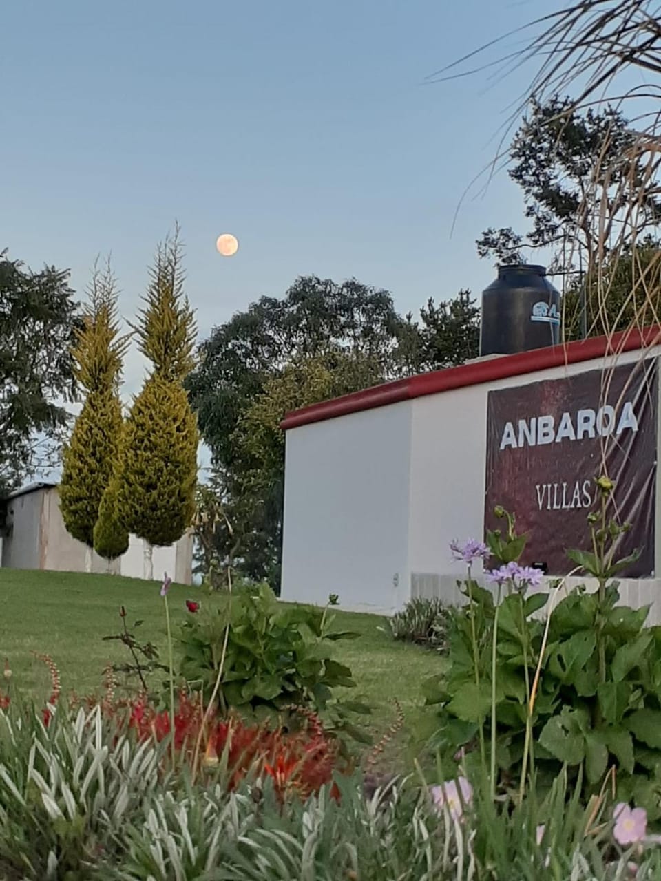 Property logo or sign, Natural landscape