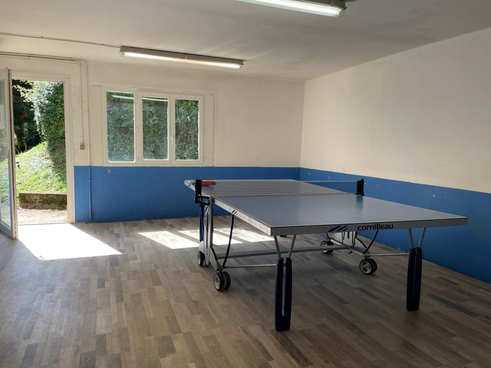 Table tennis