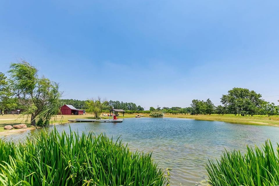 Fischer Farmhouse (Pet friendly) Farm Stay in Fredericksburg