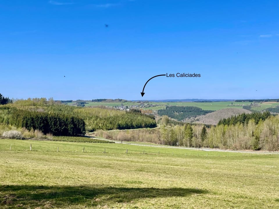Les Caliciades 3 à Gros-Fays Apartment in Wallonia, Belgium
