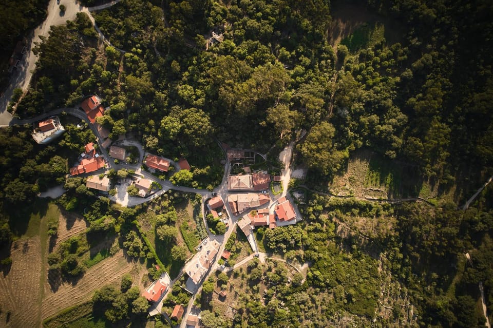 Spring, Day, Neighbourhood, Natural landscape, Bird's eye view, View (from property/room), City view, Street view, Sunrise, Sunset