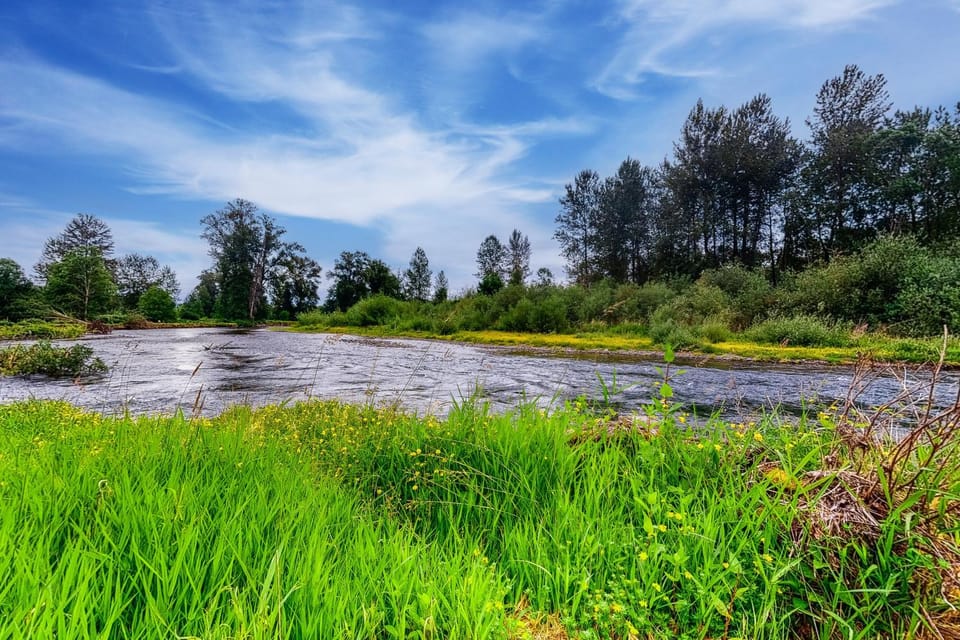 River View House House in Springfield
