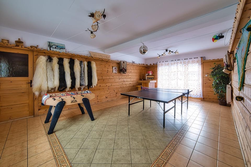 Game Room, Table tennis