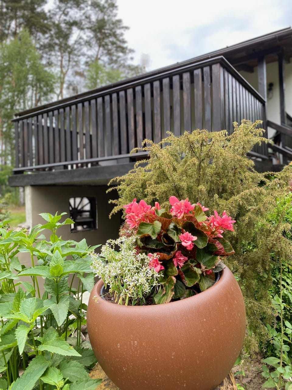 Garden, Balcony/Terrace