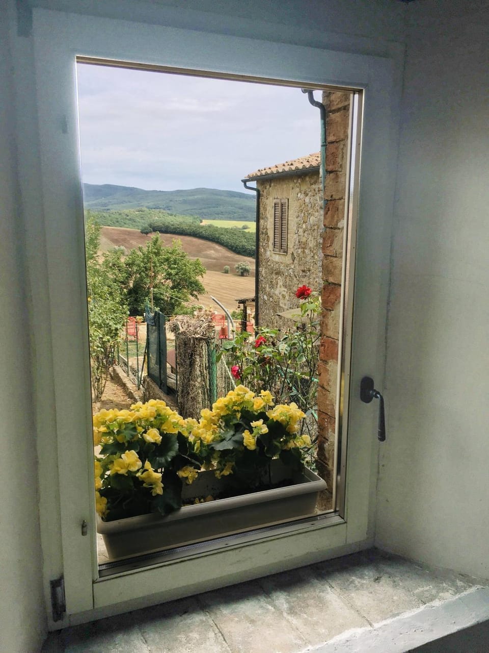 Garden view