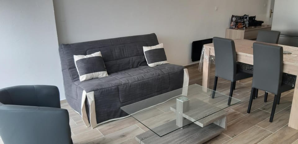 appartement T3 Saint-Cyprien plage Apartment in Saint-Cyprien