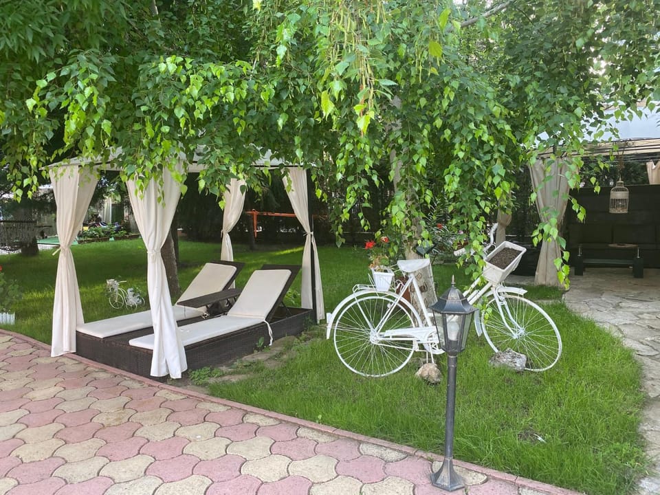 Patio, Garden