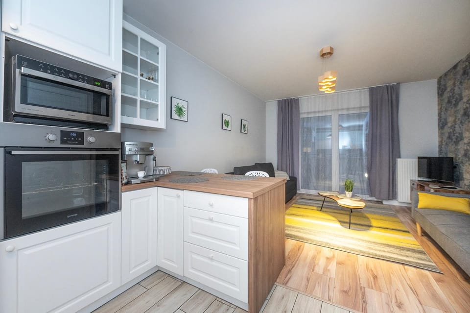 Kitchen or kitchenette, dishwasher, minibar, stove