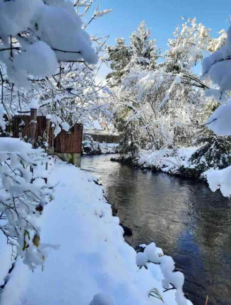 Natural landscape, Winter, River view