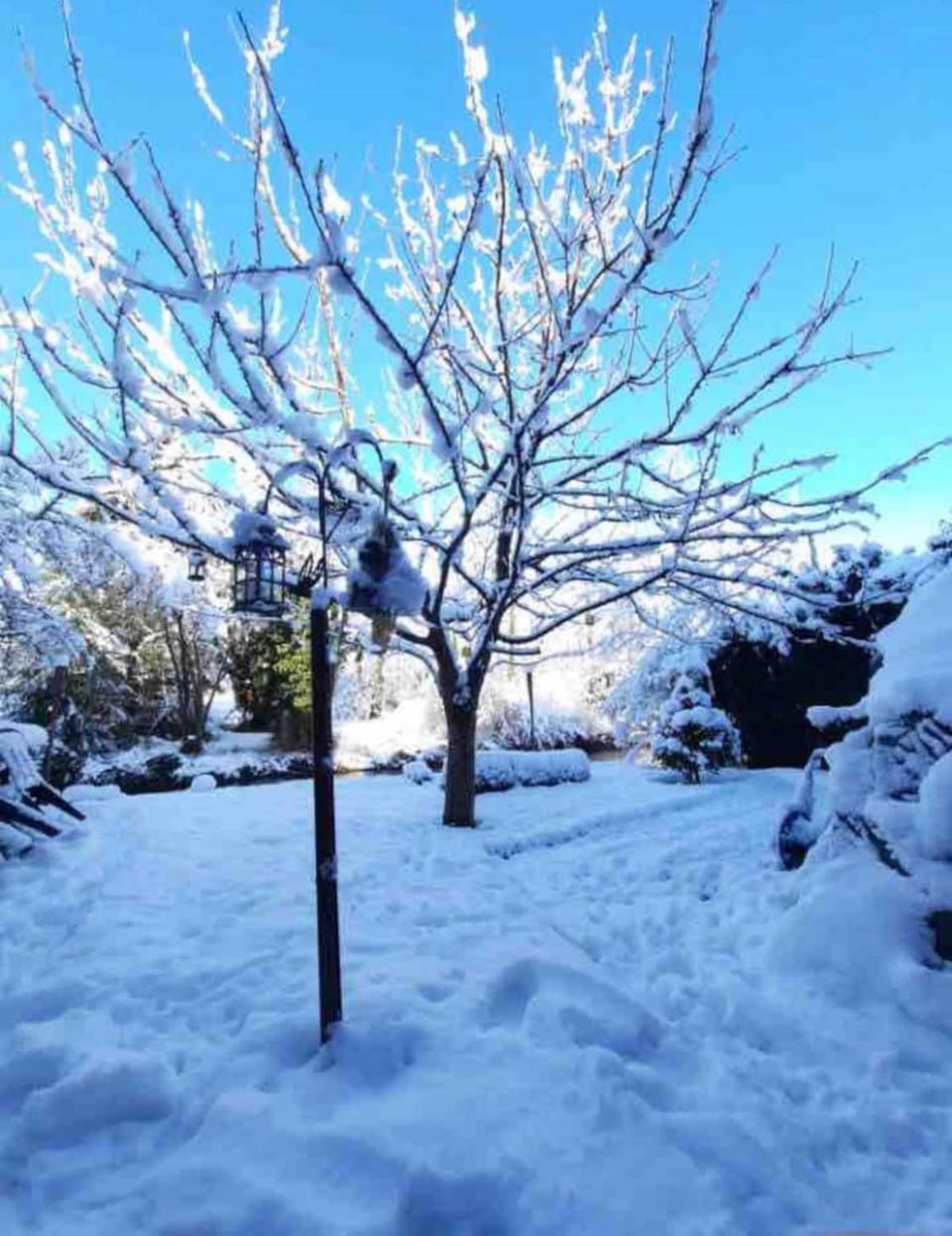 Natural landscape, Winter, River view, River view