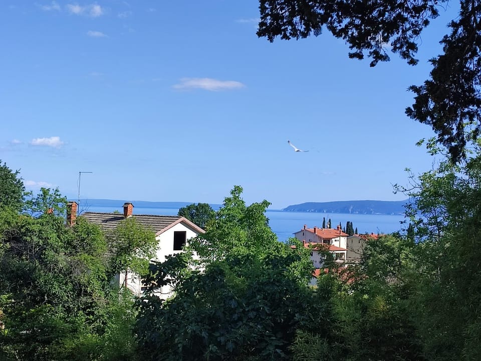 Natural landscape, Sea view