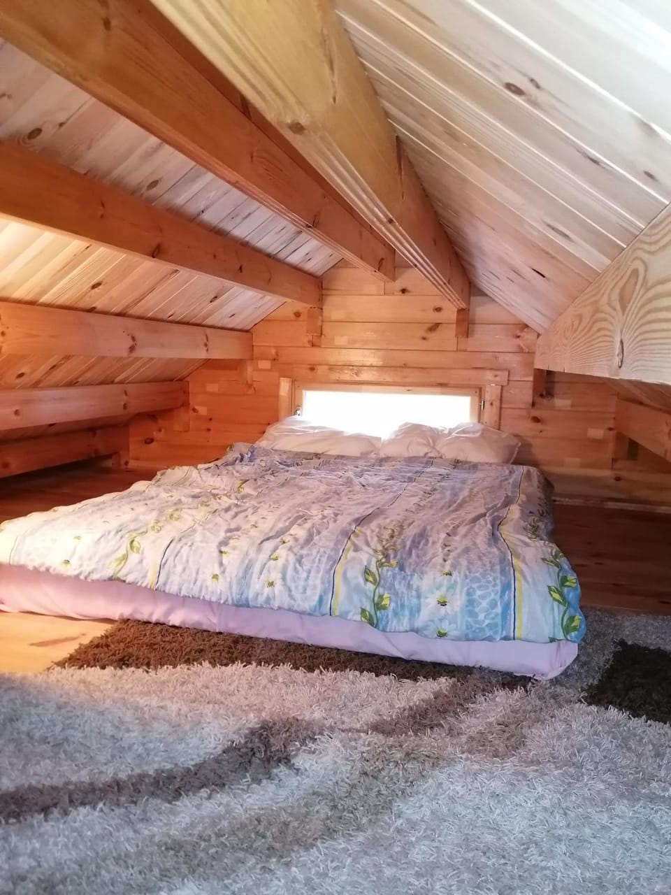 Domek na bagnie House in Poland