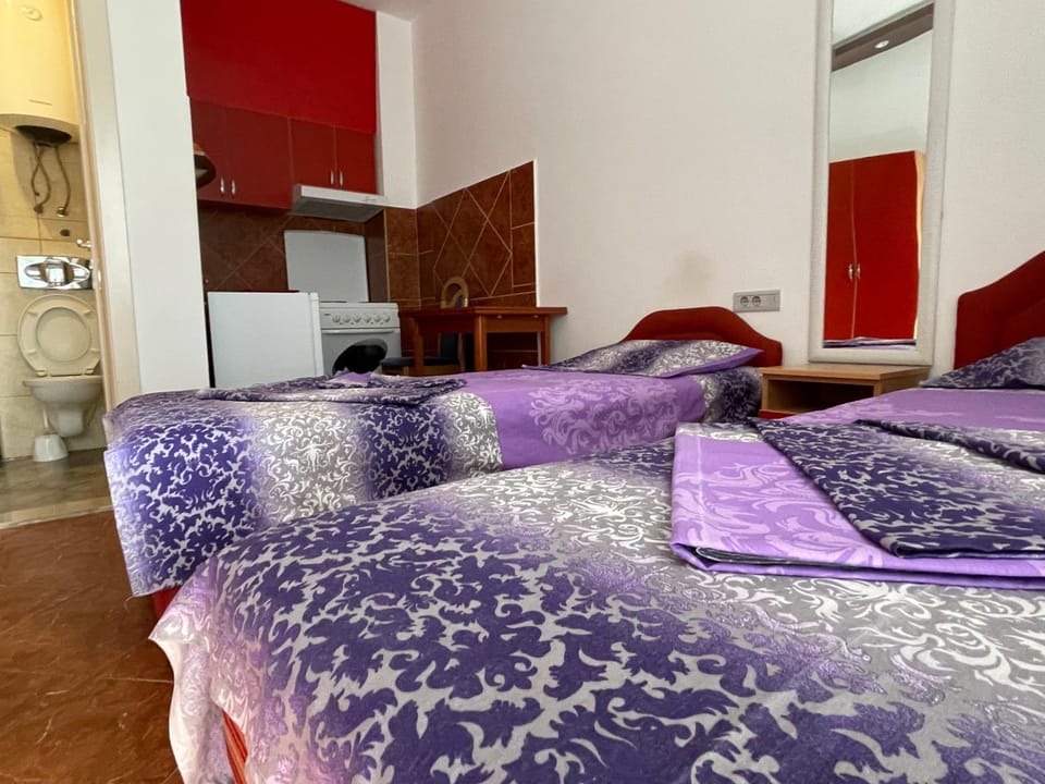 Apartment Zevs Apartment in Budva