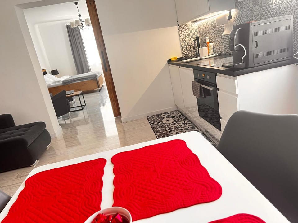 Apartament Grodzki Apartment in Lviv Oblast