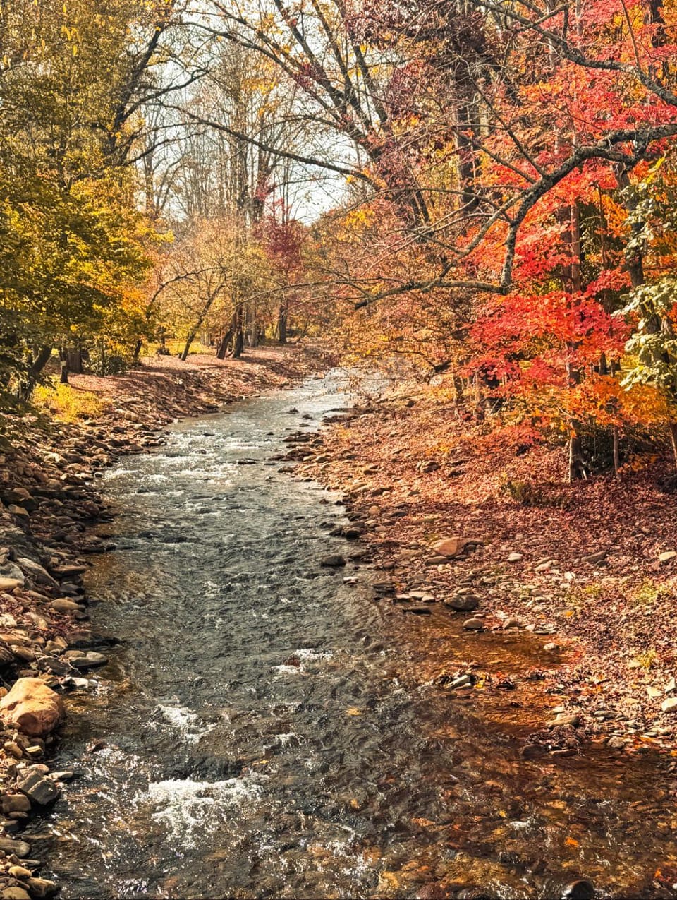 Property building, Spring, Natural landscape, Summer, Autumn, River view