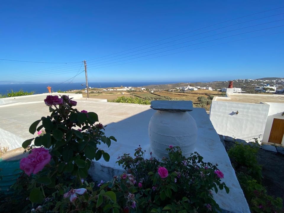 Ninemia Apartment Apartment in Milos