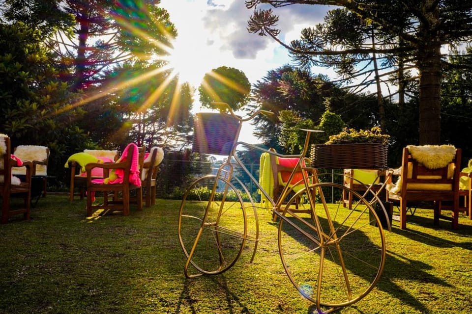 Natural landscape, Garden, Garden view