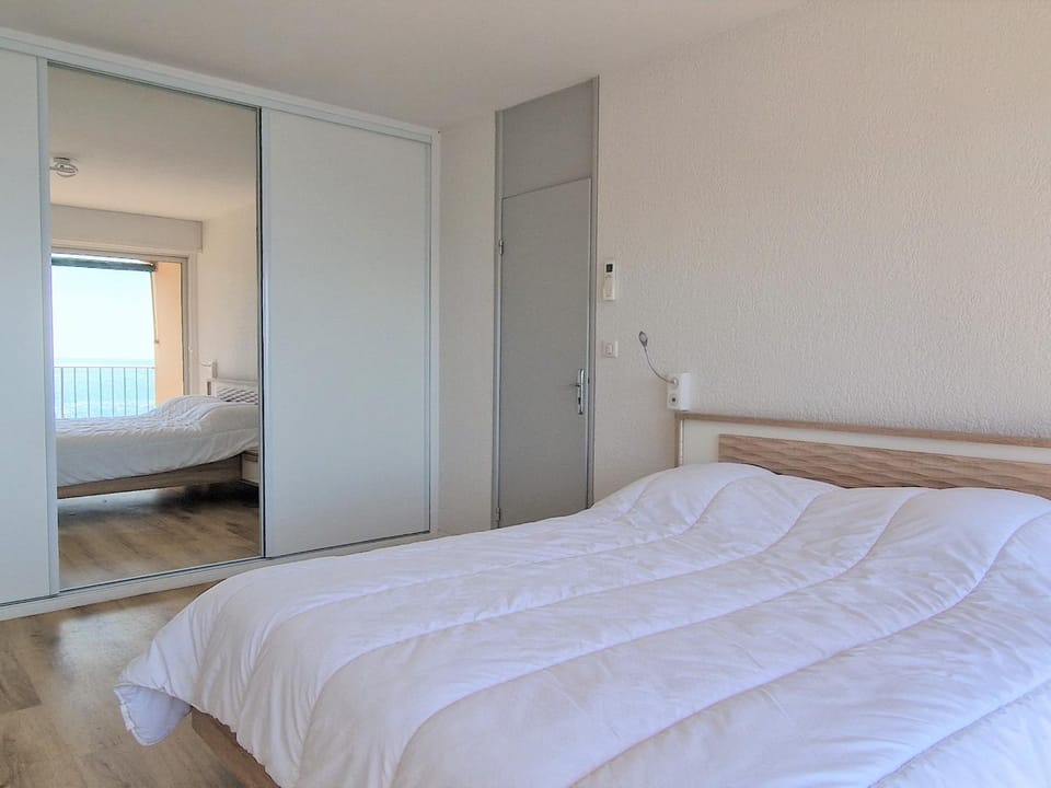 BANYULS-SUR-MER : Appartement T3 climatisé, proche plage - FR-1-309-281 Apartment in Port-Vendres