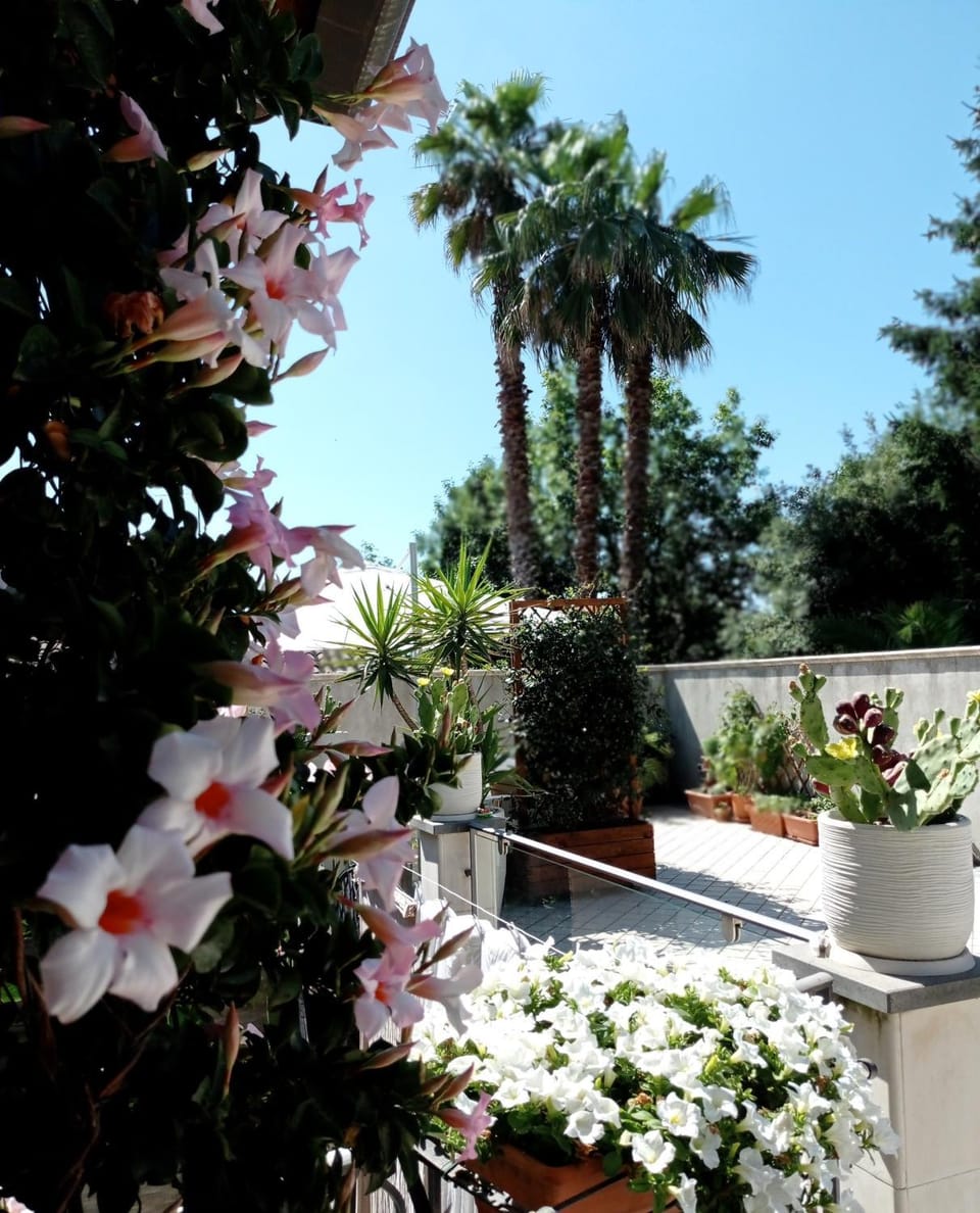 Garden, Balcony/Terrace